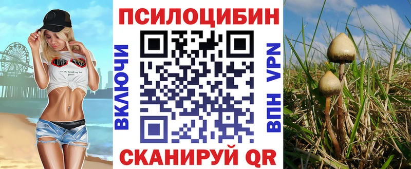ссылка на мегу ССЫЛКА  Новоаннинский  Псилоцибиновые грибы GOLDEN TEACHER  купить наркотик 
